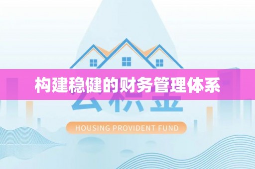 林芝构建稳健的财务管理体系
