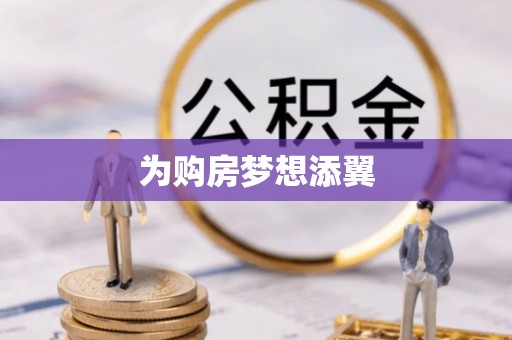 林芝为购房梦想添翼