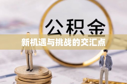 林芝新机遇与挑战的交汇点