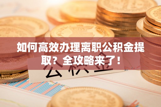 林芝如何高效办理离职公积金提取？全攻略来了！